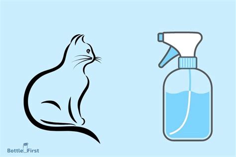 Are Spray Bottles Cruel for Cats? And Why Do They Always Land on Their Feet?