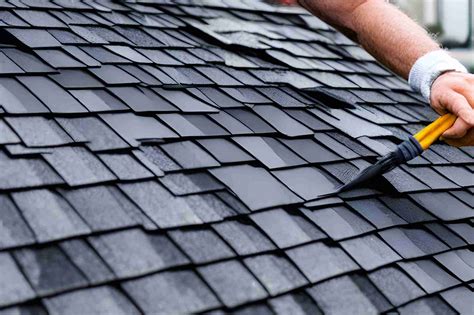 Can You Paint Shingle Roof? Exploring the Art and Practicality of Roof Transformation