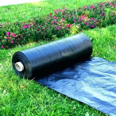 How to Lay Black Plastic in Garden: A Comprehensive Guide to Weed Control and Soil Warming