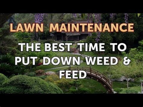 What is the Best Month to Put Down Weed and Feed, and Why Do Some People Think It’s Related to the Moon’s Phases?