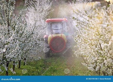 When to Spray Cherry Trees: A Symphony of Seasons and Whispers of the Wind