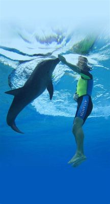 Why Do They Feed Dolphins Ice: A Dive into the Depths of Marine Mysteries