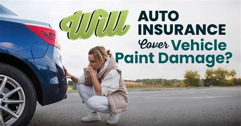 Will Car Insurance Cover Paint Damage: A Dive into the Colorful World of Auto Claims