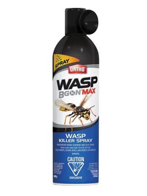 Will Wasp Spray Kill Ants: A Journey Through the Unpredictable World of Insect Warfare